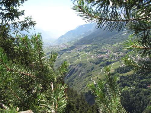 Paysage en Valais. © Photo: go-and-discover.com. All rights reserved.